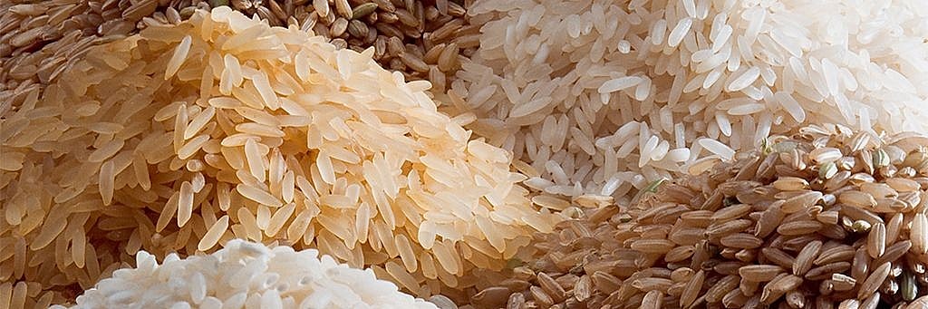 Going With the Grains – Rice